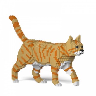 Orange Tabby Cats (6)