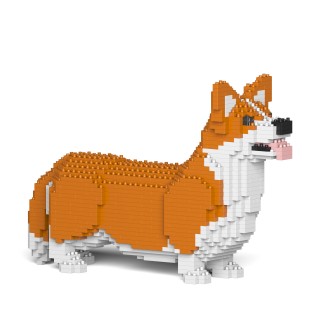 Welsh Corgi (41)