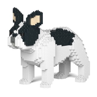 French Bulldog (60)