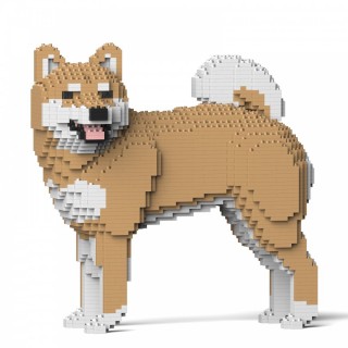 Shiba Inu (25)